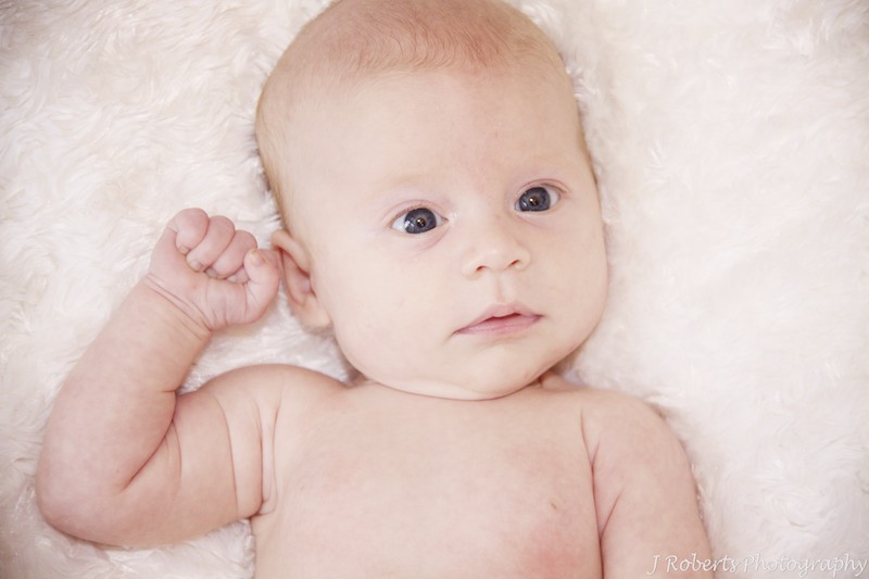 Baby lying on snuggly blanket - baby portrait photography sydney